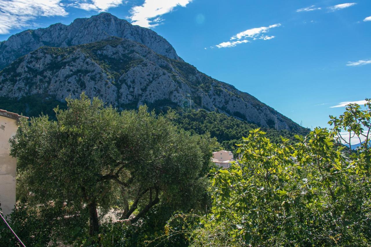 Apartments With A Parking Space Gradac, Makarska - 14708 Экстерьер фото