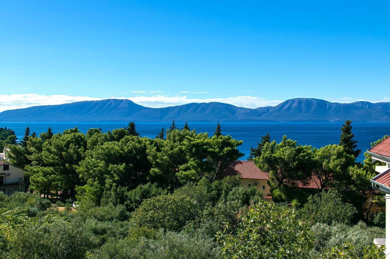 Apartments With A Parking Space Gradac, Makarska - 14708 Экстерьер фото