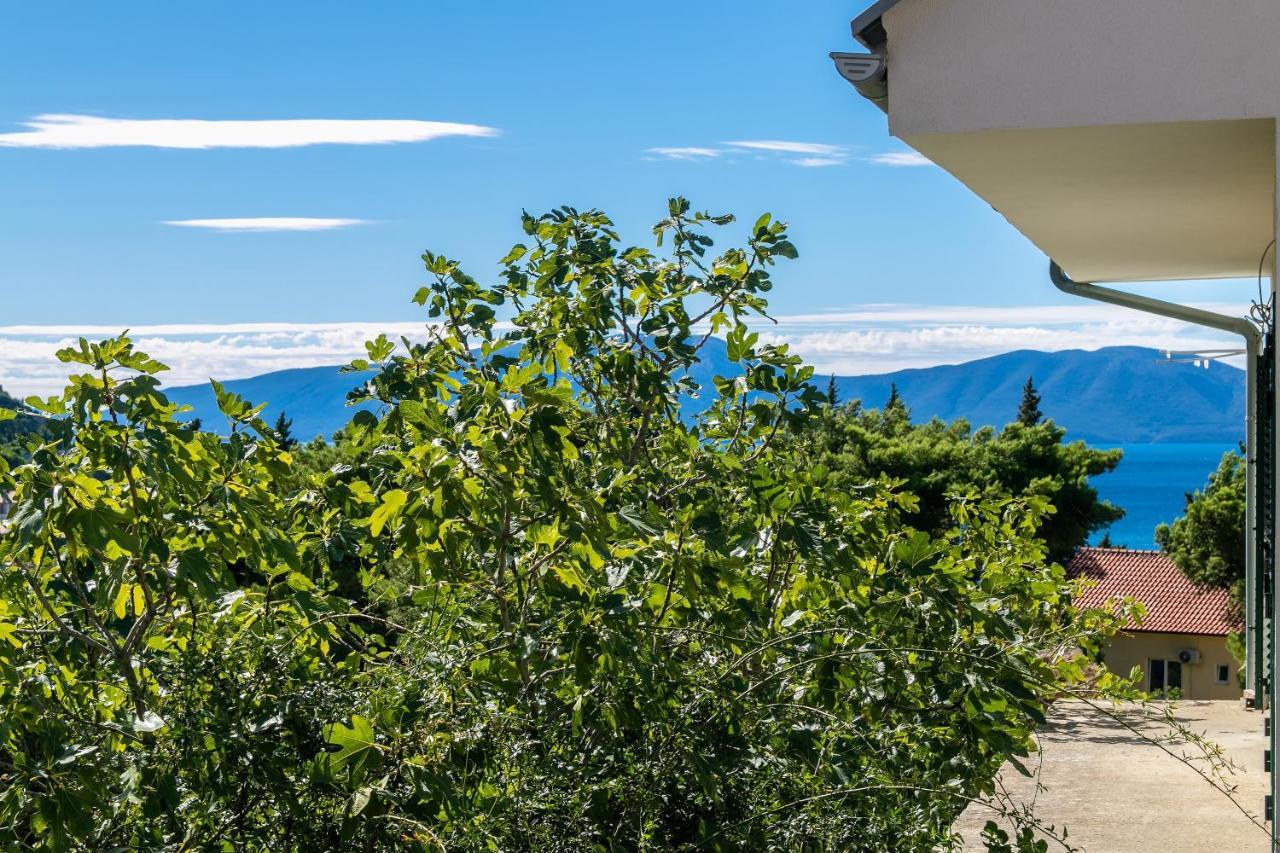 Apartments With A Parking Space Gradac, Makarska - 14708 Экстерьер фото